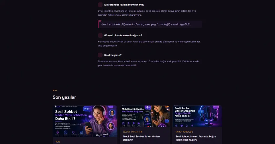 SesliSohbet.net tasarım detayı 2