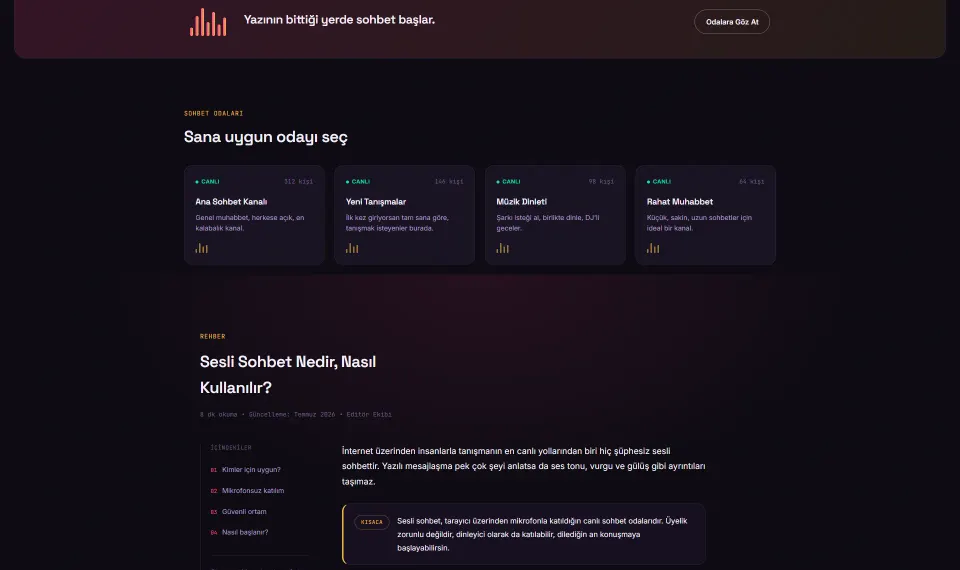SesliSohbet.net tasarım detayı 1