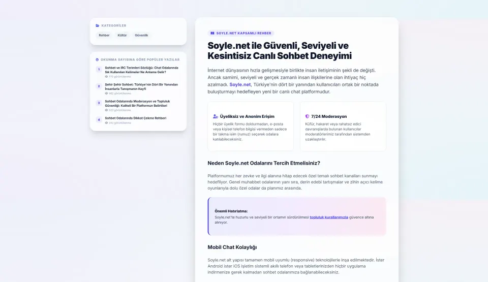 Soyle.net tasarım detayı 1